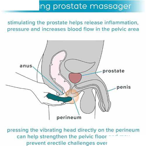 plusOne Vibrating Prostate Massager - Back View